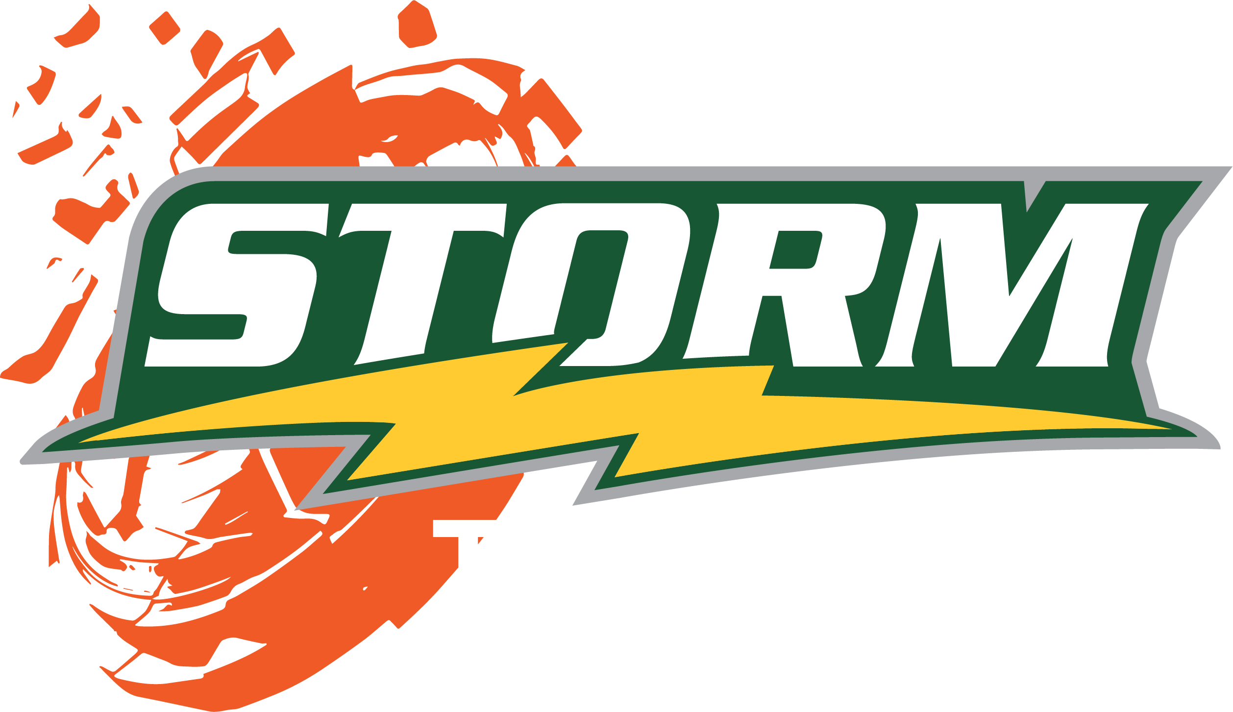 Stormtrap_logo